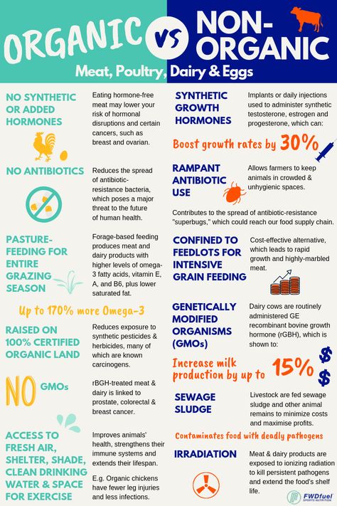 6 Huge Differences Between Organic And Non-Organic Meat, Poultry, Dairy, & Eggs Egg Farming, Organic Protein Powder, Organic Molecules, Organic Meat, Grass Fed Meat, Organic Nails, Organic Protein, Organic Eggs, Farm Eggs