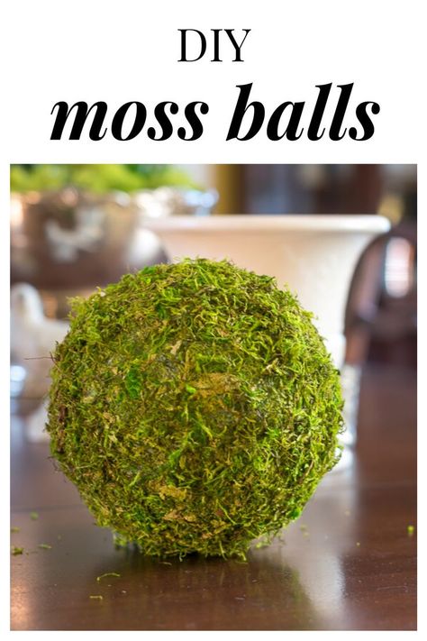 Moss Ball 101! Tired of trying to wrap a square sheet of moss around a foam ball? This easy DIY will add instant Spring to your home decor. Diy Moss Ball, Diy Moss, Diy Spring Crafts, Moss Ball, Moss Balls, Decorative Spheres, Italian Salad, 15 Diy, Dough Bowl