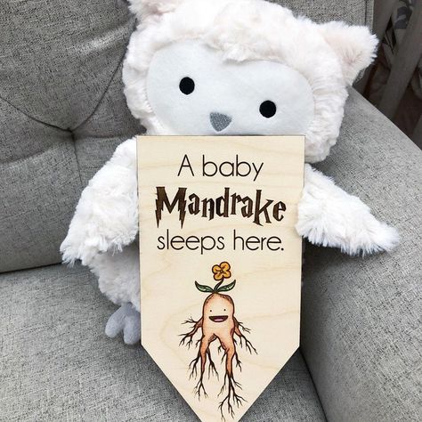 Hogwarts Nursery, Harry Potter Baby Nursery, Harry Potter Themed Nursery, Baby Harry Potter, Nerd Decor, Storybook Nursery, Magical Nursery, Harry Potter Nursery, Harry Potter Baby Shower