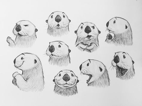 Otter Expressions by Jason Dreamer Otter Cartoon, Otter Drawing, Otter Illustration, Drawing Cartoon Characters, Bella Bella, Animal Sketches, Beautiful Animals, Disney Drawings, 로고 디자인