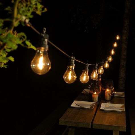 Festoon Lights Outdoor, Unique Lights, Garden Room Ideas, Festoon Lights, Diwali Lights, House Lighting, Autumn Lights, Outdoor Lights, Festoon Lighting