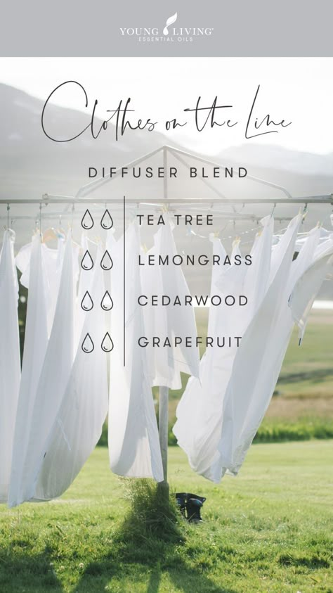 Eo Blends, Essential Oil Combinations, Doterra Essential Oils Recipes, Essential Oil Diffuser Blends Recipes, Aromatherapy Products, Young Living Essential Oils Recipes, Essential Oils Guide, Essential Oils Diffuser, Essential Oil Diffuser Recipes