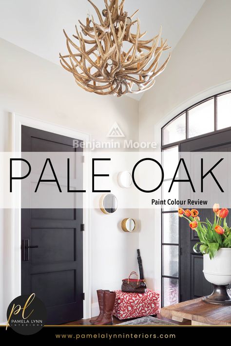 Best Trim Color With Pale Oak, Neutral Foyer Paint Color, Pale Oak Bathroom Master Bath, Pale Oak And White Dove Benjamin Moore, Pale Oak Walls Chantilly Lace Trim, Pale Oak Walls Living Room, Pale Oak With Simply White Trim, Pale Oak With Chantilly Lace Trim, Pale Oak Colour Palette