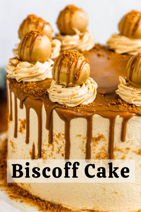 Biscoff Ganache, Cookie Butter Frosting, Cookie Butter Cake, Biscoff Truffles, Biscoff Buttercream, Biscoff Recipes, Biscoff Cake, Cake Slices, Dijon Chicken