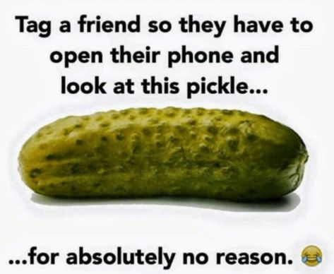 Terrible Memes, Dill Pickle Recipe, Funny Pictures With Captions, Bad Memes, Friend Memes, Yummy Comfort Food, Head Shop, Top Memes, Pickling Recipes