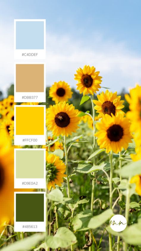 Sage Green And Sunflower Bedroom, Yellow Green Blue Color Palette Living Rooms, Sunflower Colors Palette, Yellow And Sage Color Palettes, Yellow And Brown Color Scheme, Blue Yellow Pallette, Spring Green Color Scheme, Green Summer Color Palette, Blue And Yellow Color Palette Hex Codes