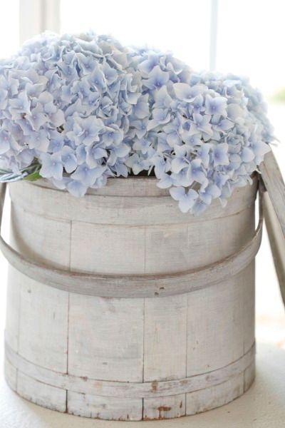 Pale Blue Hydrangea, Gowns Mother Of The Bride, Flower Cottage, Blue Hydrangeas, Blue Cottage, Blue Themed Wedding, Things I Love, Mother Of The Bride Dress, Feeling Blue