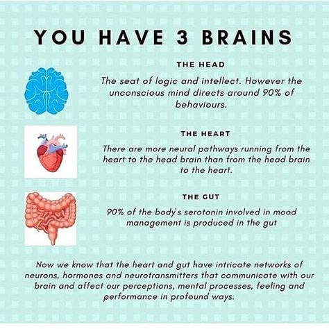 ▶️ You Have 3 Brains! ▫️ Although the head, heart, and gut brains work together, they have obvious different physical functions and they also perform different mental and emotional roles. ▫️ The head brain analyzes information and applies logic. The heart-brain senses the world through emotion and feelings. ▫️ The gut brain is used for understanding our identity and who we are in the world. The gut-brain also helps us learn self-preservation by teaching us to follow our instinct – the “gut feeli Brain Facts, Brain Connections, Gut Brain, Mental And Emotional Health, Self Care Activities, Health Info, Holistic Healing, Brain Health, Health Facts