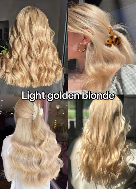 Looking for perfect hair colors for warm undertone? Explore our guide on golden blondes, caramel browns, and more for an ideal match. Colors For Warm Undertones, Hair Colors For Warm Undertones, Light Golden Blonde, Blonde Layered Hair, Perfect Blonde Hair, Strawberry Blonde Hair Color, Perfect Hair Color, Golden Blonde Hair, Light Blonde Hair