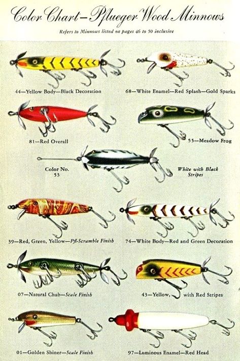 Lure Display, Fishing Knowledge, Fishing Lures Art, Fish Hoodie, Vintage Lures, Old Fishing Lures, Largemouth Bass Fishing, Antique Fishing Lures, Homemade Fishing Lures