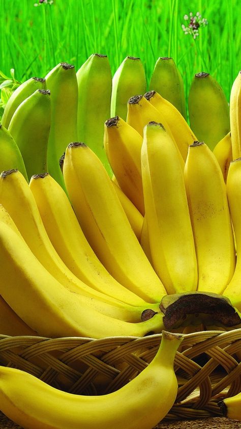 Cavendish Banana, Banana Wallpaper, Fruit World, Eating Food Funny, Growing Fruit Trees, Food Art Photography, Fruits Photos, Fruit Picture, Banana Fruit