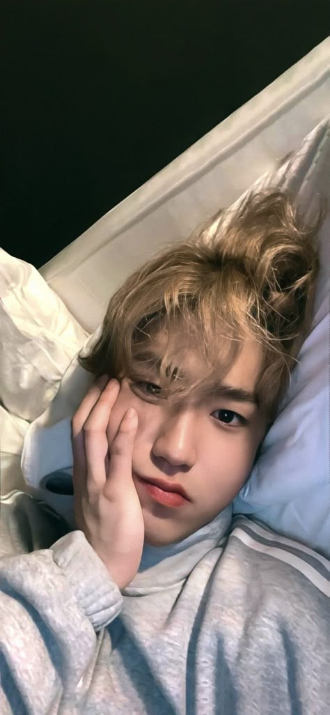 Wallpaper Skz, Han Quokka, Han Skz, Boyfriend Wallpaper, Skz Wallpaper, Baby Squirrel, Skz In Cute, Kids Icon, The Boy Is Mine