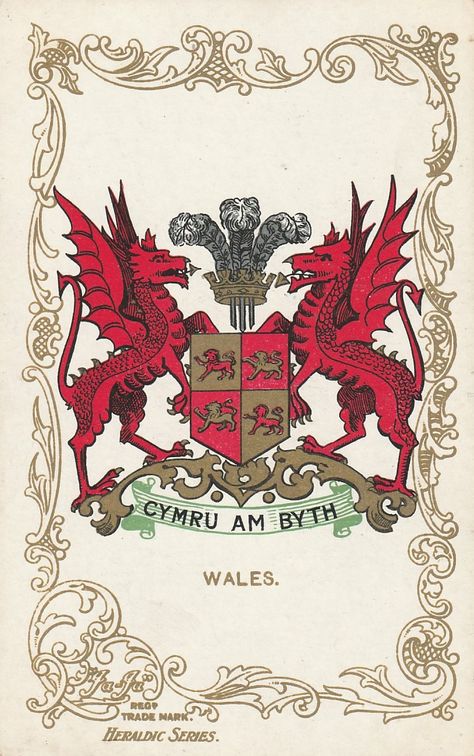 Welsh Tattoo, Welsh Sayings, Welsh History, Wales Dragon, Learn Welsh, Welsh Culture, Wales Flag, Welsh Language, Welsh Dragon