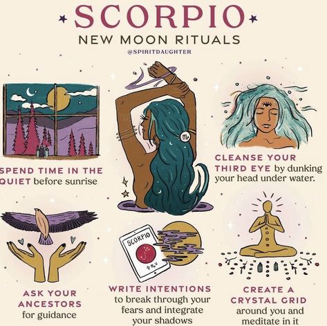 Scorpio New Moon, Spirit Daughter, Witchy Tips, Moon Astrology, Moon Rituals, The Scorpio, Pagan Gods, New Moon Rituals, Magic Day