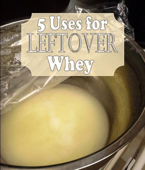 5 ideas for using whey that is leftover from making Greek yogurt. Whey Uses Recipes, What To Do With Leftover Whey, What To Do With Whey From Yogurt, Recipes Using Whey From Yogurt, Using Whey From Yogurt, How To Use Whey From Yogurt, Uses For Whey From Yogurt, Whey Recipes Leftover, Whey Recipes Liquid