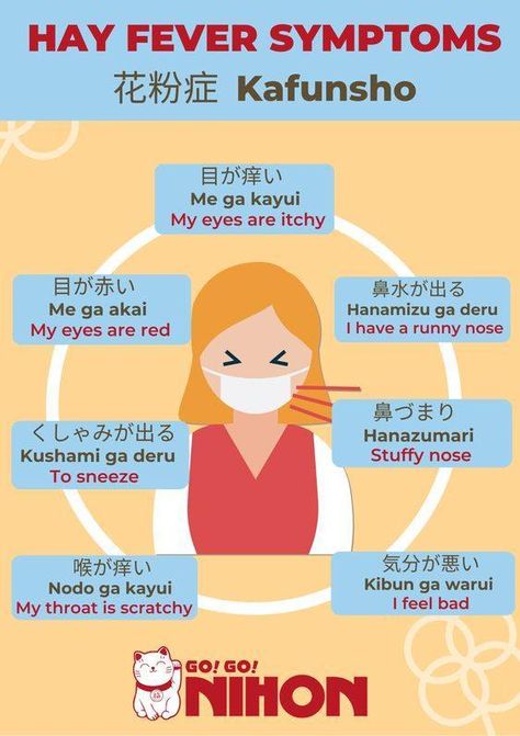 Beginners Japanese | **Hay fever symptoms   ** | Facebook Hay Fever Symptoms, Hay Fever, Stuffy Nose, Runny Nose, Japanese Language, Feelings