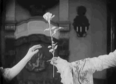 Kamikaze, Aesthetic Gif, Phantom Of The Opera, Silent Film, Film Stills, Aesthetic Videos, A Rose, Dark Aesthetic, Old Hollywood