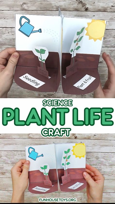 دورة حياة النبات, Plant Cycle, Seed To Plant, Science Exhibition Projects, Life Cycle Craft, Science Exhibition, Wild Robot, Planting For Kids, Hand Art Kids