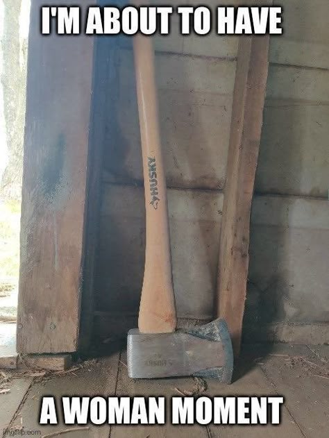 a picture of an axe with a text overlay that says "i'm about to have a woman moment" A Silent Voice, Silly Goofy, Memes Lol, Im Going Crazy, Reaction Images, Reaction Memes, New Energy, Silly Me, Lose My Mind