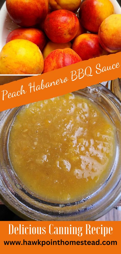 This recipe for peach habanero BBQ sauce recipe for canning is a delicious and wonderful twist on traditional barbecue sauce. The peach gives it a sweet flavor and combined with tangy flavor of the habaneros make it a taste out of this world. The delicious flavor pairs perfectly with grilled meats like ribs, chicken and pork. This sweet BBQ sauce with its little bit of heat has an interesting flavor that can be made more spicy or less spicy. Peach Habenero Recipes, Peach Habanero Bbq Sauce, Peach Bbq Sauce Recipe Canning, Bbq Sauce Canning, Peach Bbq Sauce Recipe, Habanero Bbq Sauce, Bourbon Bbq Sauce Recipe, Dill Pickle Recipe, Canned Cranberries