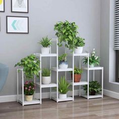 76 Gambar Rak Pot Bunga Minimalis Kombinasi dari Kayu dan Besi 8 Room Decor Videos, Flower Shelf, Rustic Bookcase, Diy Room Decor Videos, Plastic Window, Decor Videos, Rope Shelves, Plastic Windows, Balcony Terrace