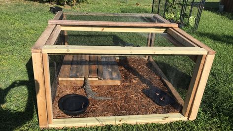 After 4 days of labor in the Florida sun, I finally finished the outdoor Tegu enclosure. Outdoor Lizard Enclosure, Tegu Enclosure Ideas, Outdoor Reptile Enclosure, Tegu Enclosure, Ball Python Cage, Reptile Enrichment, Lizard Enclosure, Tegu Lizard, Savannah Monitor