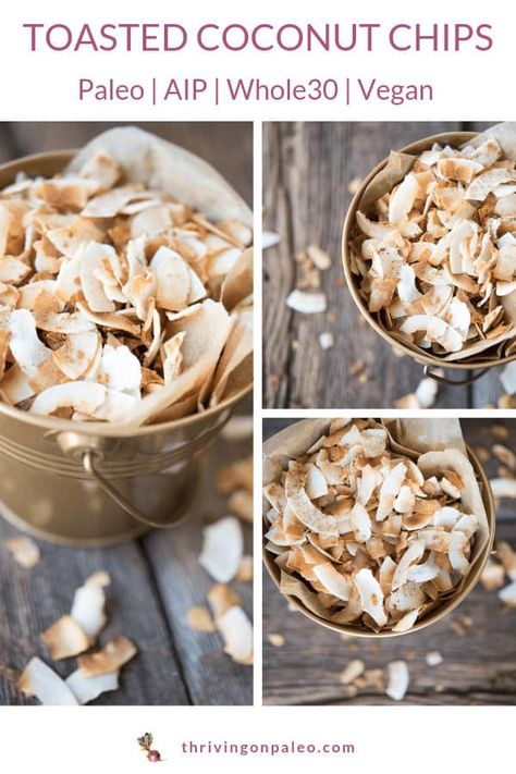 Diet Snack Ideas, Coconut Chips Recipe, Aip Snacks, Autoimmune Diet Recipes, Aip Diet Recipes, Aip Snack, Paleo Recipes Snacks, Stevia Recipes, Aip Breakfast