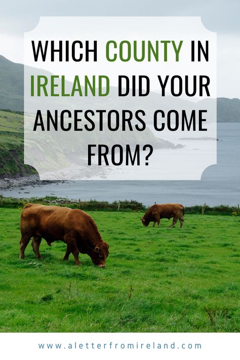 Genealogy Ireland, Genealogy Templates, Irish Genealogy, Family History Projects, Coast Of Ireland, Irish Ancestry, Genealogy Help, Ancestry Family Tree, Genealogy Websites