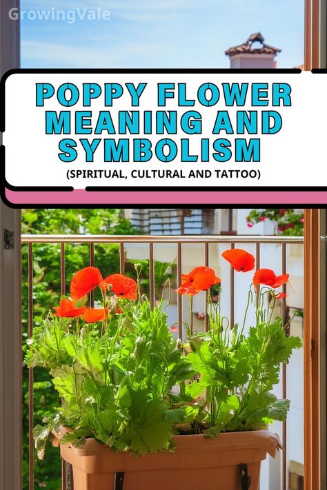 Poppy Flower Meaning Poppy Flower Meaning, Poppy Tattoo Meaning, Poppy Tattoos, Growing Poppies, Eternal Sleep, Tattoos And Their Meanings, Tattoo Store, Poppies Tattoo, Popular Flowers