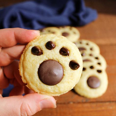 Dog Print Cookies, Puppy Paw Cookies, Dog Paw Cookies Decorated, Paw Print Cookies, Paw Cookies, Buttery Sugar Cookies, Chocolate Melting Wafers, Cookie Christmas, Chewy Sugar Cookies