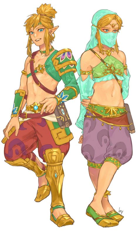 Gerudo Link, Link Fan Art, Zelda Drawing, Legend Of Zelda Characters, Link Cosplay, Atla Memes, Legend Of Zelda Memes, Zelda Cosplay, Link Zelda