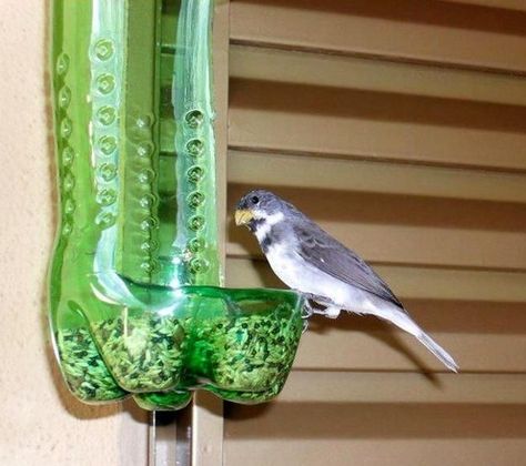 recycled crafts for kids and adults, handmade bird feeders recycling plastic bottles Studio Seni, Recycled Crafts Kids, Reuse Plastic Bottles, Homemade Bird Feeders, Handmade Birdhouses, Plastic Bottle Art, Diy Bird Feeder, Diy Birds, Plastic Bottle Crafts