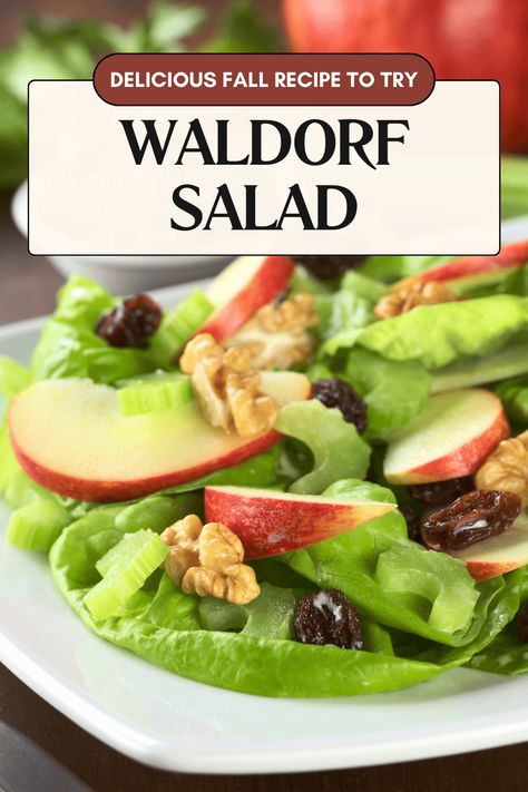 The Best Waldorf Salad Recipe: Refreshingly Easy Best Waldorf Salad Recipe, Easy Waldorf Salad, Green Bean Salad Recipes, Waldorf Salad Recipe, Best Macaroni Salad, Yummy Fall Recipes, Waldorf Salad, Green Bean Salads, Cranberry Salad