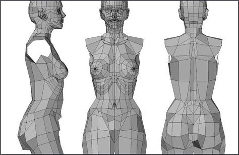 Fig. 6-18 The female torso in low polygon mode. 3d Topology, Maya Modeling, 3d Anatomy, 3d Karakter, Character Reference Sheet, Low Poly Character, Sketch Poses, Female Torso, Cardboard Sculpture