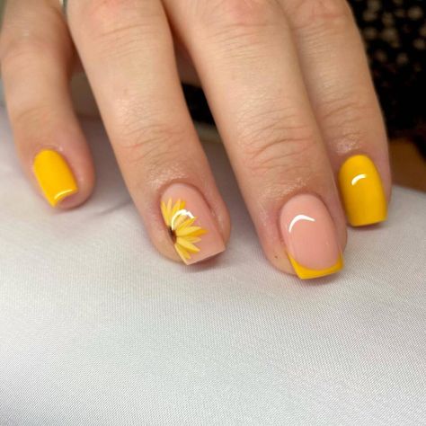 21 Simple Cute Sunflower Nails 7 Simple Sunflower Nails Art Designs, Gel Nails Sunflower, Sunflower Nails Ideas, Nail Sunflower Design, Nail Art Sunflower Design, Sunflower Accent Nails, Fall Yellow Nails Acrylic, Nail Ideas Sunflowers, Summer Nail Tips Ideas