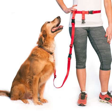 Hands Free Dog Leash The Best Dog Running, Jogging Leash Made in The USA By The Buddy System | Hands Free Dog Leash, Great for Running or Jogging. Made in USA Buddy System, Hands Free Dog Leash, Hands Free Leash, When Your Best Friend, Puppy Play, Pet Leashes, Pet Leash, Obedience Training, Free Dogs