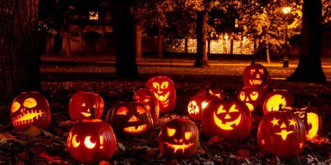 The Best Small Towns in America for Halloween - Best Places to Celebrate Halloween 2017 Halloween Backdrops, Forest Halloween, Light Forest, Pumpkin Carvings, Halloween Backdrop, Spooky Halloween Party, Pumpkin Lights, Pumpkin Decor, Halloween Lights