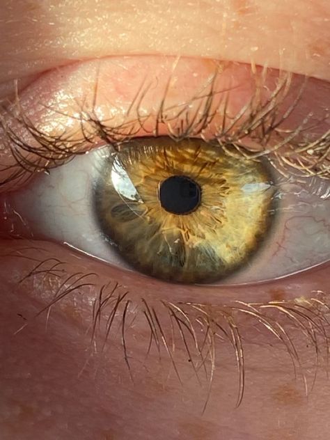 Yellow Eyes Aesthetic, Sunset Sunrise Aesthetic, Green Brown Eyes, Yellow Green Eyes, Brown Eyes Aesthetic, Beautiful Eyes Color, Sunrise Aesthetic, Brownish Yellow, Golden Eyes