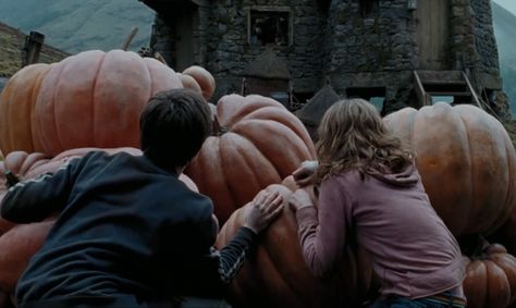 Cinematography Harry Potter, Harry Potter Stills, Hermione Pumpkin, Harry Potter Cinematography, Prisoner Of Azkaban Aesthetic, Azkaban Aesthetic, Cinematic Composition, Cinematic Shots, Hp Facts