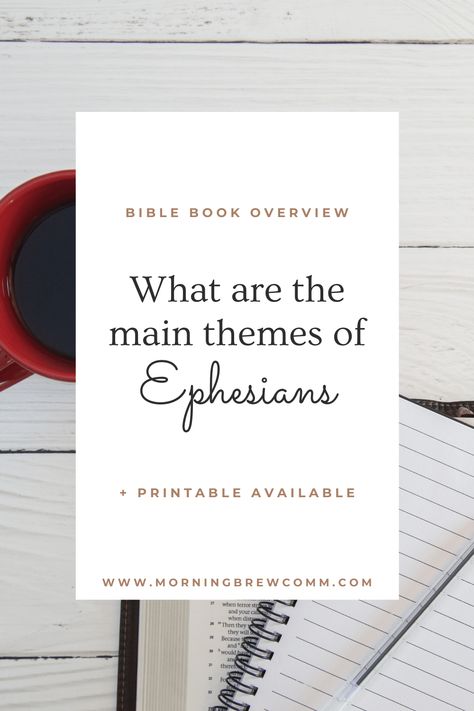 Romans Bible Study, Book Of Colossians, Corinthians Bible, Romans Bible, Book Of Galatians, Book Of Philippians, Book Of Ephesians, The Book Of Romans, Bible Study Books