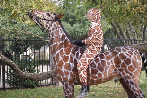 Giraffe Horse Costume, Costume Horse And Rider, Paint Horse Halloween Costumes, Horse And Rider Halloween Costumes, Halloween Costumes For Horses And Rider, Animal Costume Ideas, Horse Fancy Dress Costume, Equestrian Halloween, Horse Halloween Ideas