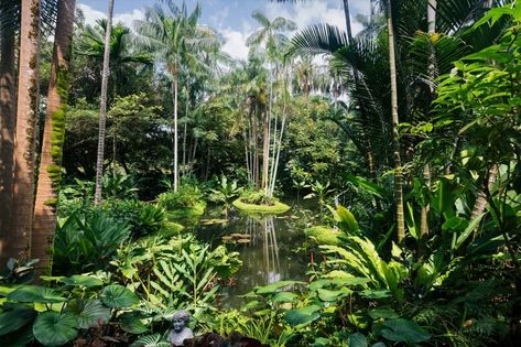 The Best Things in Singapore Are Free | Travel Insider Singapore Nature, Wild Park, Singapore Guide, Singapore River, Singapore Botanic Gardens, Eco Buildings, Indoor Waterfall, Eco Hotel, Sustainable City