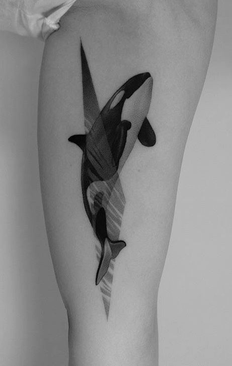 Pawel Indulski whale tattoo Tattoo Male, Dolphin Tattoo, Phoenix Bird Tattoos, Orca Tattoo, Whale Tattoo, Dolphins Tattoo, Bird Tattoos, Whale Tattoos, Phoenix Bird