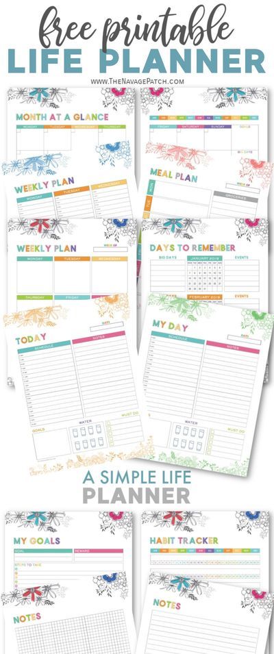 With this FREE printable Life Planner organize your daily-weekly-monthly schedule, take control of your finances, track your goals and habits, plan your meals, keep your important information all in one binder! | Free organization printables | Free printable work planner | Home binder free printables | #TheNavagePatch #FreePrintable #LifePlanner #Homebinder #Calendar #ChoreChart #Freeplanner | TheNavagePatch.com Home Organization Binders, Navage Patch, Life Planner Organization, Daily Planner Printables Free, Free Printables Organization, Weekly Calendar Planner, To Do Planner, Schedule Organization, Life Binder