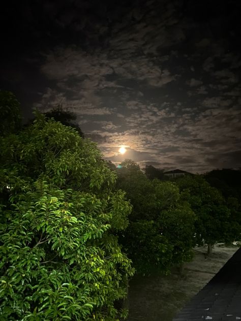 Moon View, Virgo Moon, Sky View, Beautiful Sky, Dark Night, Real Pictures, Full Moon, Country Roads, Moon