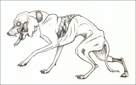 zombie dog Scary Animal Drawings, Scary Dog Drawing Reference, Scared Dog Drawing, Zombie Dog, Zombie Animals, Zombie Dog Drawing, Zombie Animals Drawing, Zombie Animal Tattoo, Creepy Dog Art