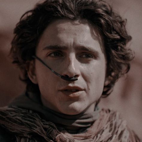 Paul Atreides Icon, Dune Icon, Dune Paul, Dune Aesthetic, Dune Characters, Dune Part Two, Stellan Skarsgård, Dave Bautista, Paul Atreides