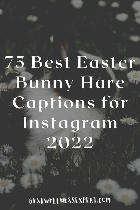 75 Best Easter Bunny Hare Captions for Instagram 2022 Simple Captions For Instagram, Funny Easter Pictures, Couple Instagram Captions, Easter Jokes, Captions For Couples, Jeffrey R. Holland, Funny Easter Bunny, Baby Boy Easter, Instagram Couples