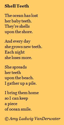 Seashells On the Beach | The Poem Farm: Shell Teeth - The Private Eye | growing poetry and ... Childrens Poems, Childrens Poetry, Ocean Unit, Poetry For Kids, Kids Poems, Ocean Quotes, I Love The Beach, Beach Quotes, Life Quotes Love