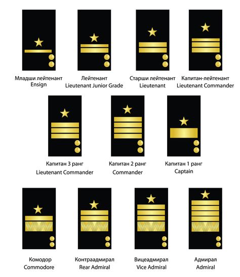 us navy officer ranks Navy Officer Ranks, Us Navy Officer, Navy Ranks, Navy Badges, Soviet Navy, Wwii Uniforms, Military Ranks, Navy Mom, Navy Aircraft